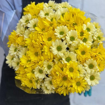 желтая кустовая хризантема - купить с доставкой в по Александровску